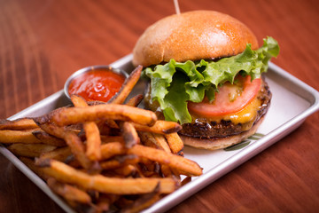 Gourmet cheese burger with french fries