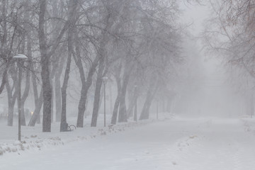 A blizzard in the city park