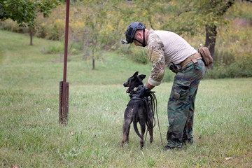Dog handler preparing a dog for a track