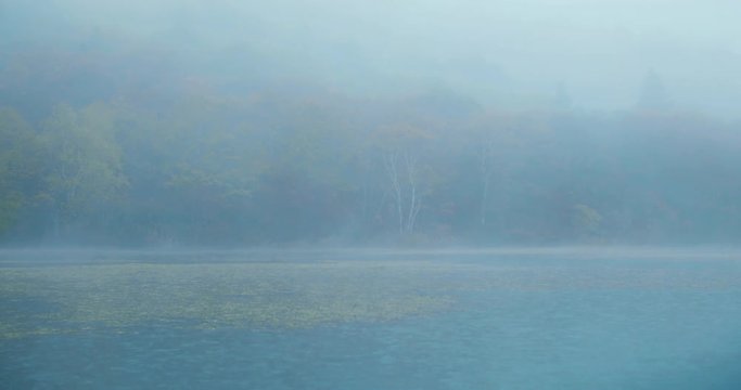 雨と霧と湖