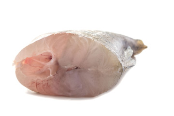 one fresh raw prepared piece of pike perch fillet