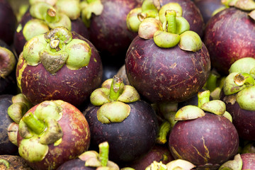 Magostin. Fruits of Vietnam.