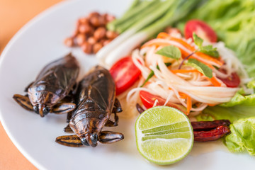 Papaya Salad