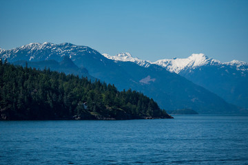 snow covered mountain, forest, ocean landscape