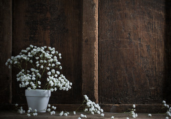 gypsophila on wooden background