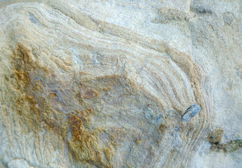 Stone texture background/Detail of sand stone texture/Natural slate stone background texture/Stone abstract background/Colorful natural stone background/Rock texture and background/Stone/