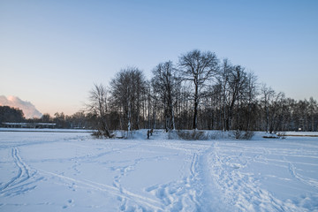 Fototapeta na wymiar Trees island on the frozen winter lake