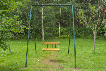 Children's swing from a tree against a background of green trees