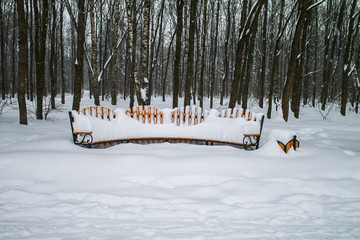Bench at winter park after snow storm