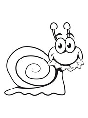 schnecke lustig fressen salat