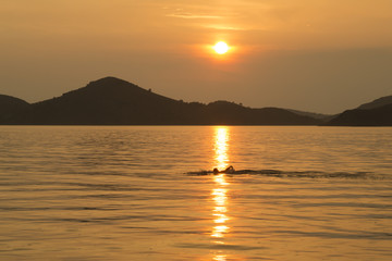 romantic swimming in sea at sunset