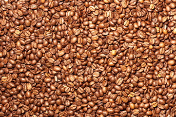 fresh coffee beans. texture of coffee beans