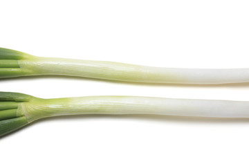長ネギ