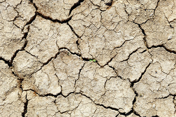 texture of the crackled clay in the desert.