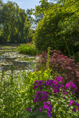 Les jardins de Claude Monet à Giverny en Normandie