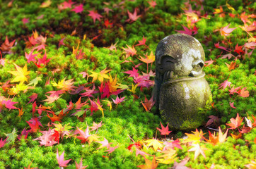 traditional small smiling stone statue or Jizo buddha monk statue with green star moss and coloful red maple leaves on ground in a garden, autumn season at Enkoji temple in Kyoto, Japan, soft focus