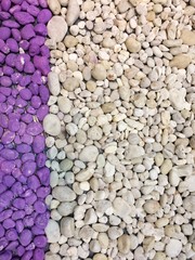 Round stones Purple and white walls background