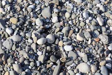 gray background pebbles