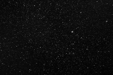 Real falling snow on a black background