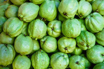 Pile of fresh light green rounded delicious organic guava fruit background selling in local market, Thailand