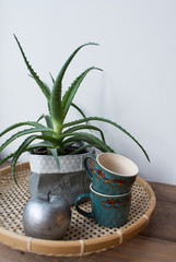 aloe cactus, cups and silver apple. vintage stile