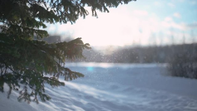 Snowy landscape. A snowy sunset. A snow breeze.