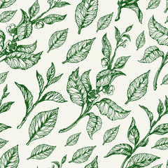 Vector seamless nature pattern. Vintage floral illustration
