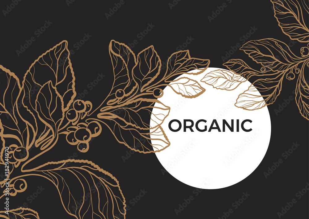 Wall mural Vector nature template of mate branch. Floral art line illustration