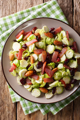 Homemade salad of sliced Brussels sprouts, cranberries, almonds and ham close-up. Vertical top view