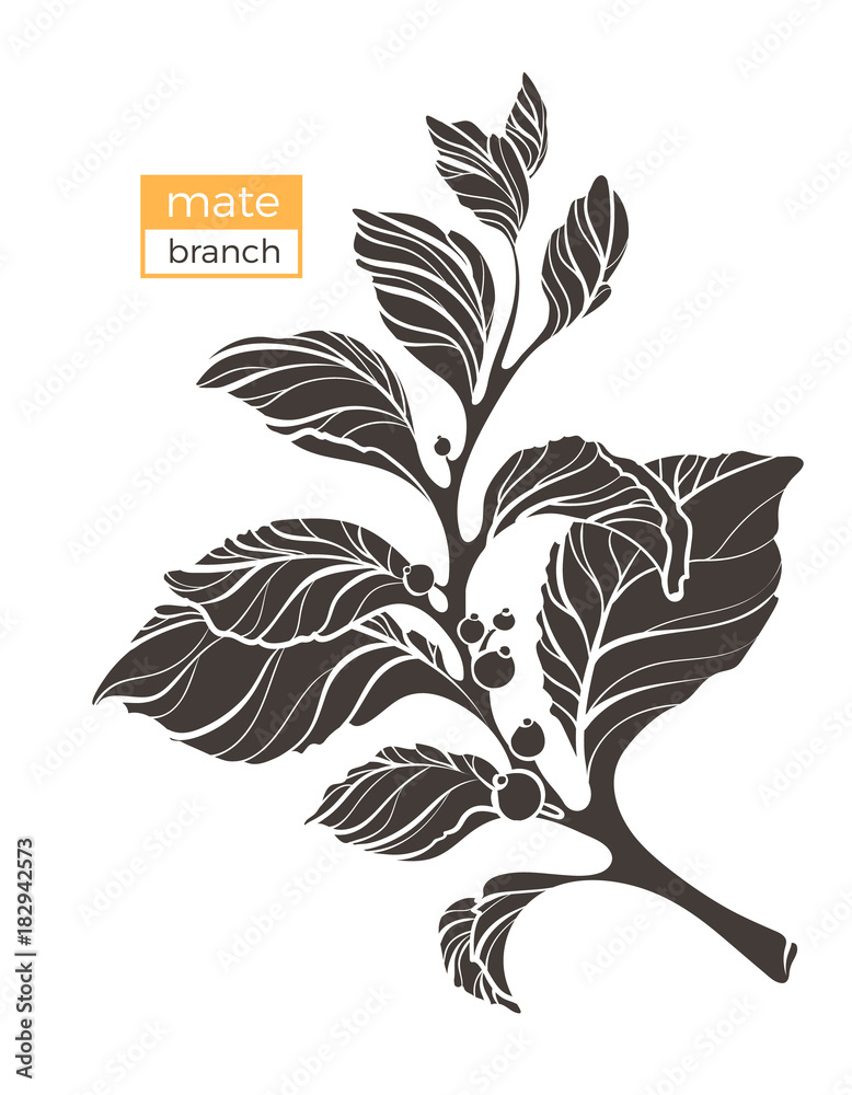 Wall mural vector mate branch. nature shape illustration.