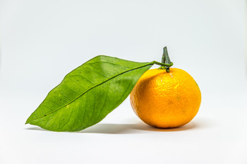 mandarin with green leaf