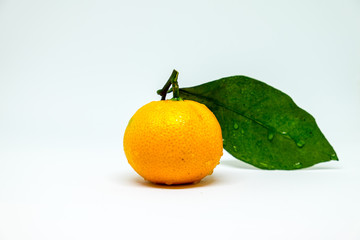 mandarin with a green leaf with water drops