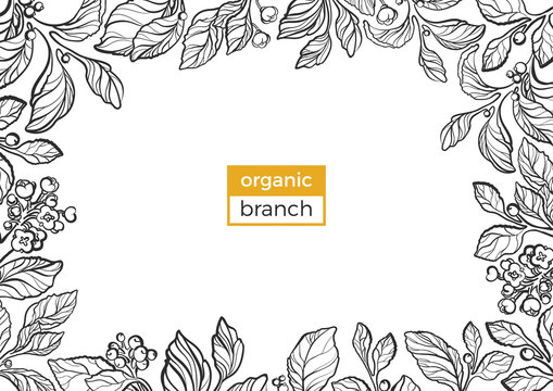 Template of realistic branches with leaves, berry and flowers. Vector