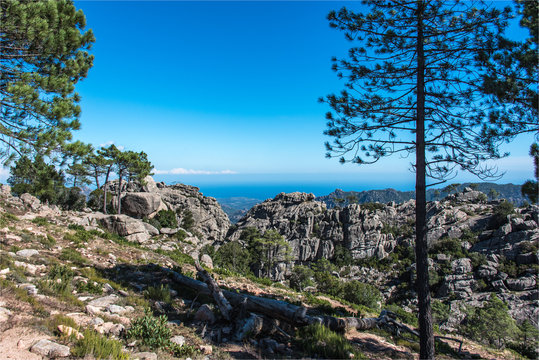 Paysage du parc de l'Ospedale en Corse