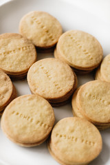 Round Christmas butter sugar cookies fresh from the oven with a stamp sayig the German words Frohes Fest, which means Happy Holidays, on white plate