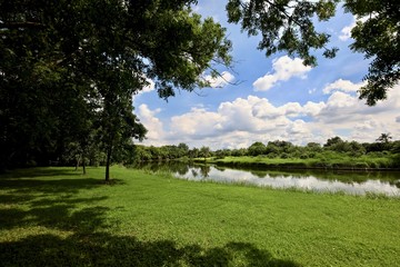 Pond in the park