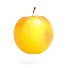 Fototapeta na wymiar Yellow and red apple on white background