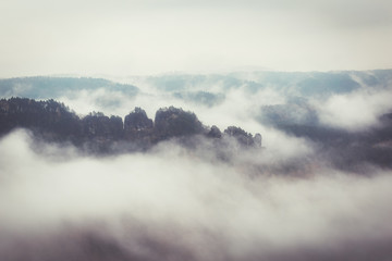 Foggy landscape in saxon switzerland