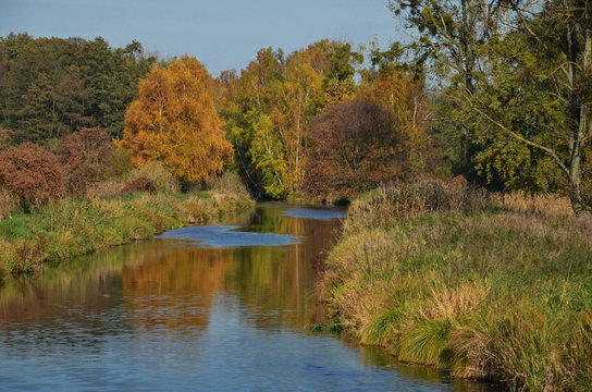 Stangenhagen Bilder Durchsuchen 88 Archivfotos, und
