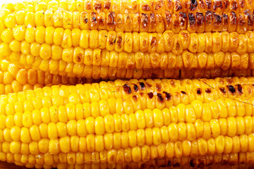 Grilled corn cobs