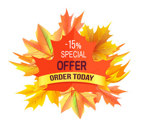 Special Offer - 15 Order Today Promo Advertisement