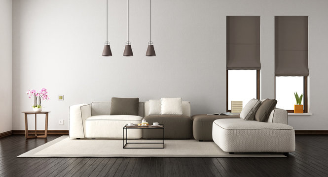 White living room with elegant sofa