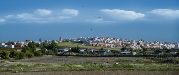 Obraz premium Village andalou de Trebujena, Espagne