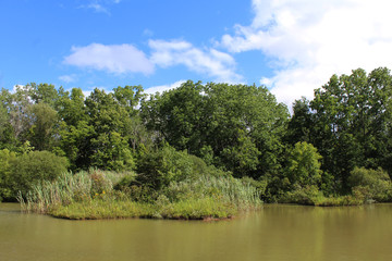 Nature Park pond