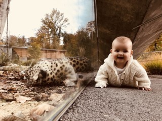 Baby neben Leopard