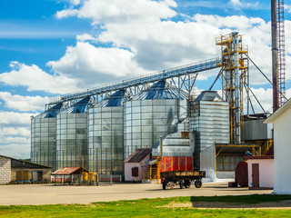 Agricultural Silo, Grain Purifying And Drying Up Complex In Summer