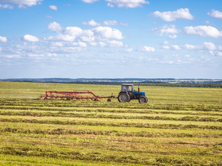 Tractor Raking Mown Down Grass In The Field In Summer