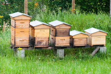 Wooden hives