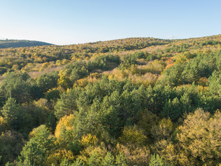 Fototapeta na wymiar Drone view on the landscape and forest
