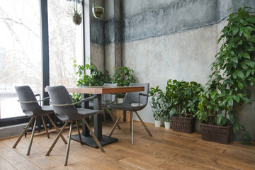 Cafe interior with green decor